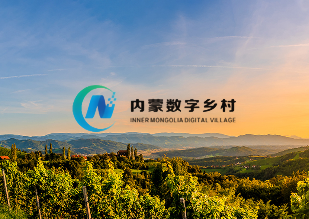 内蒙古数字乡村发展有限公司